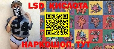 гидра Краснодар