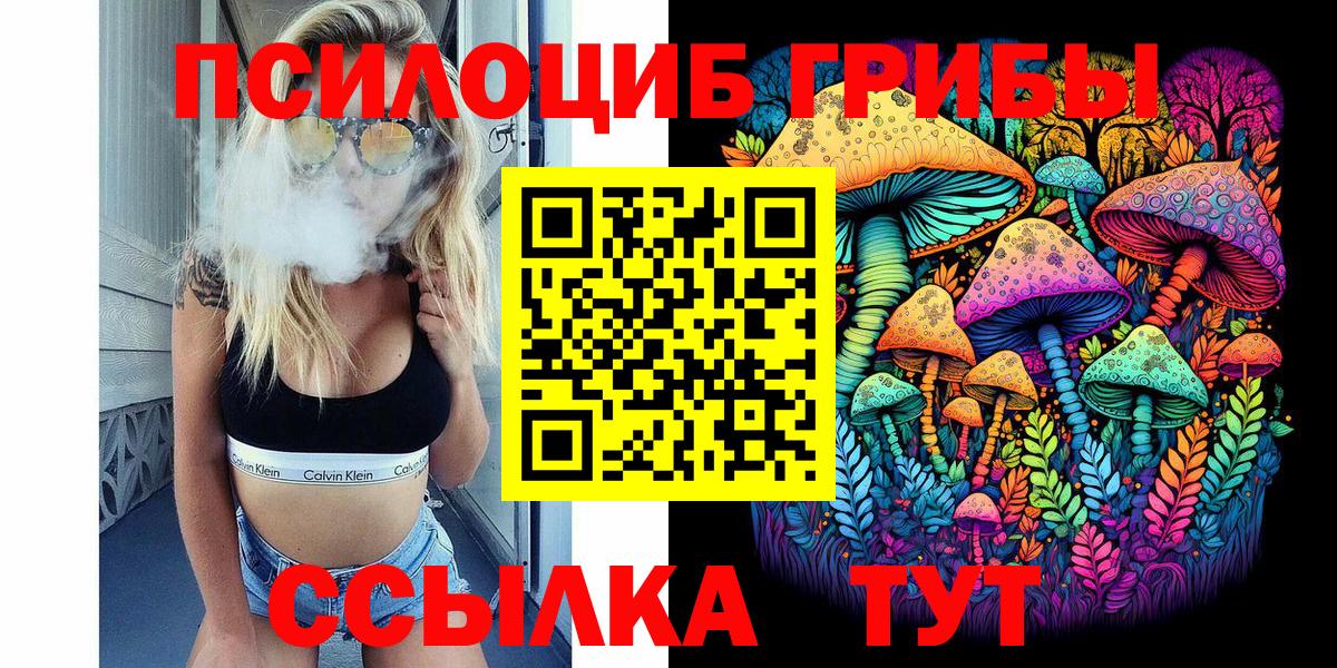 Галлюциногенные грибы MAGIC MUSHROOMS  Вход с VPN  Карачаевск 