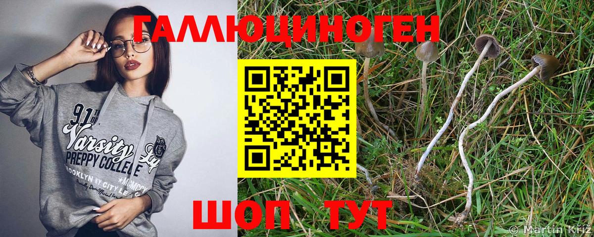 Псилоцибиновые грибы мухоморы Карачаевск