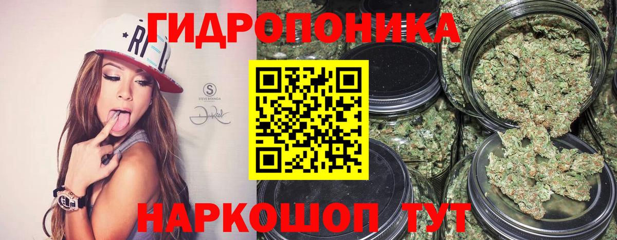 Бошки марихуана сатива  Шишки марихуана семена  Карачаевск  Конопля MAZAR  Вход с VPN  Канабис Bruce Banner 